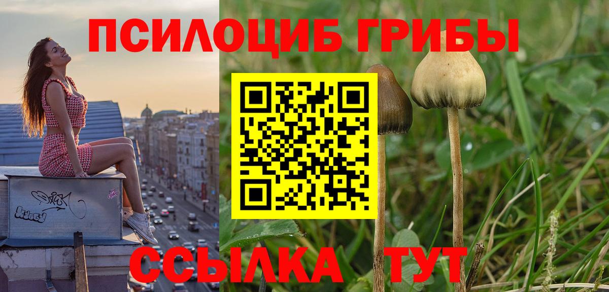 Галлюциногенные грибы Psilocybe  Вход с VPN  Вязьма  Галлюциногенные грибы ЛСД 